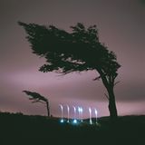 Fotokunst: Die Farben der Dunkelheit - Bild 8