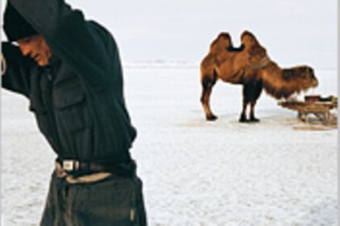 Kasachstan: Fischzug mit Kamel