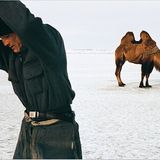 Kasachstan: Fischzug mit Kamel - Bild 3