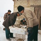 Kasachstan: Fischzug mit Kamel - Bild 4