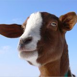 Das User-Foto des Tages - April 2008