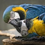 Das User-Foto des Tages - April 2008 - Bild 4