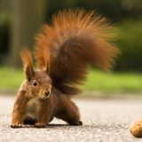 Das User-Foto des Tages - April 2008 - Bild 7