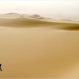 Das User-Foto des Tages - April 2008 - Bild 8