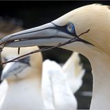 Das User-Foto des Tages - April 2008 - Bild 9