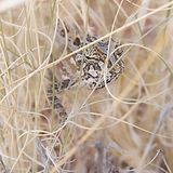 Das User-Foto des Tages - April 2008 - Bild 13