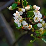 Das User-Foto des Tages - April 2008 - Bild 16