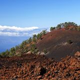 Das User-Foto des Tages - April 2008 - Bild 17