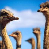 Das User-Foto des Tages - April 2008 - Bild 18