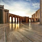 Das User-Foto des Tages - April 2008 - Bild 20