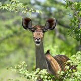 Das User-Foto des Tages - April 2008 - Bild 21