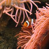 Das User-Foto des Tages - April 2008 - Bild 22