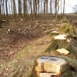 Naturschutz: Zu Tode gesichert