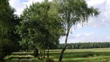 Naturschutz: Zu Tode gesichert - Bild 2