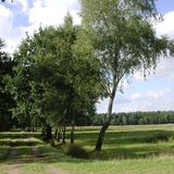 Naturschutz: Zu Tode gesichert - Bild 2