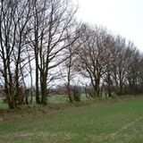 Naturschutz: Zu Tode gesichert - Bild 3