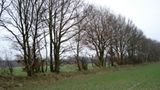 Naturschutz: Zu Tode gesichert - Bild 3