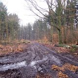 Naturschutz: Zu Tode gesichert - Bild 4