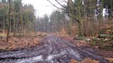 Naturschutz: Zu Tode gesichert - Bild 4