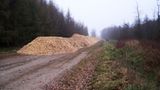 Naturschutz: Zu Tode gesichert - Bild 5