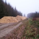 Naturschutz: Zu Tode gesichert - Bild 5