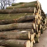 Naturschutz: Zu Tode gesichert - Bild 6