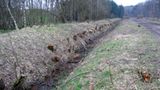 Naturschutz: Zu Tode gesichert - Bild 8