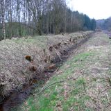 Naturschutz: Zu Tode gesichert - Bild 8