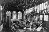 Industrielle Revolution: Fotoshow: Krupps Fabrikstadt - Bild 11