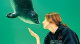 Nordsee: Menschen von der "Waterkant" - Bild 8