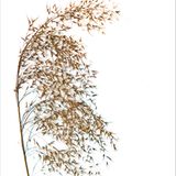 Fotogalerie: Biodiversität - Vom Wert der Vielfalt - Bild 3