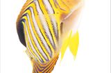 Fotogalerie: Biodiversität - Vom Wert der Vielfalt - Bild 4