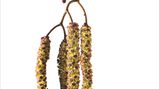 Fotogalerie: Biodiversität - Vom Wert der Vielfalt - Bild 8