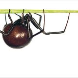 Fotogalerie: Biodiversität - Vom Wert der Vielfalt - Bild 9