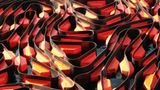 Das User-Foto des Tages - Juni 2008 - Bild 2