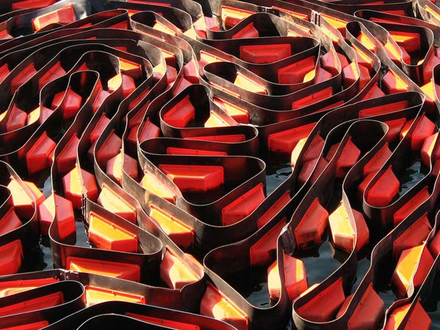Das User-Foto des Tages - Juni 2008 - Bild 2