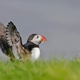 Das User-Foto des Tages - Juni 2008 - Bild 4