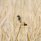 Das User-Foto des Tages - Juni 2008 - Bild 6