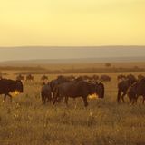 Das User-Foto des Tages - Juni 2008 - Bild 12