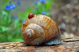 Das User-Foto des Tages - Juni 2008 - Bild 13
