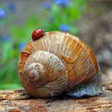 Das User-Foto des Tages - Juni 2008 - Bild 13