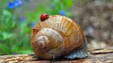 Das User-Foto des Tages - Juni 2008 - Bild 13