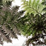 Das User-Foto des Tages - Juni 2008 - Bild 14