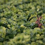 Das User-Foto des Tages - Juni 2008 - Bild 16