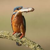 Das User-Foto des Tages - Juni 2008 - Bild 17