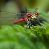 Das User-Foto des Tages - Juni 2008 - Bild 18