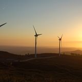 Das User-Foto des Tages - Juni 2008 - Bild 19