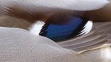 Das User-Foto des Tages - Juni 2008 - Bild 21