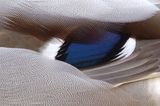 Das User-Foto des Tages - Juni 2008 - Bild 21
