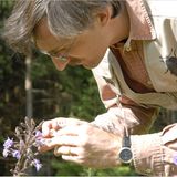 10. GEO-Tag im Nationalpark Bayerischer Wald - Bild 2